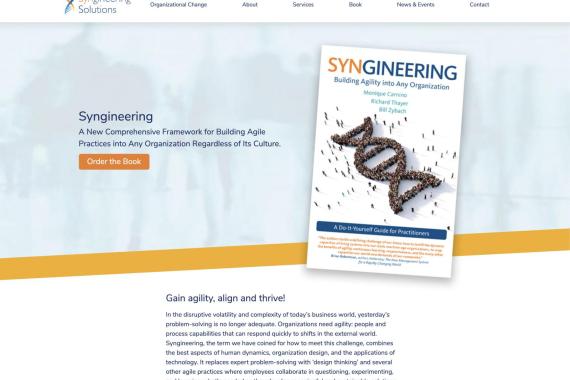 Screen Shot of Syngineering Website